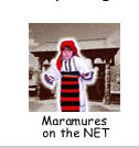 Maramures on the Net